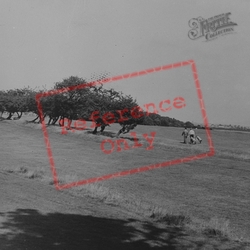 Golf Course c.1960, Eaglescliffe