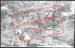 At Waterfalls c.1960, Earby