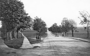 1919, Earlswood
