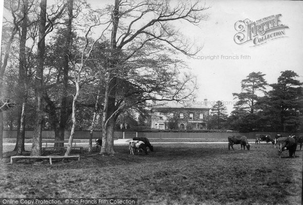 Photo of Earlswood, The Common 1906