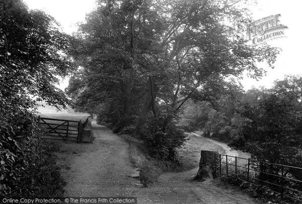 Photo of Easby, Woodland Walk 1913