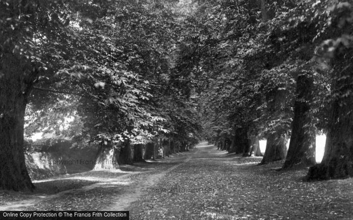 Photo of Easebourne, Chestnut Avenue 1898