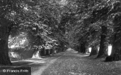 Chestnut Avenue 1898, Easebourne