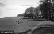 Deer In Cowdray Park 1938, Easebourne