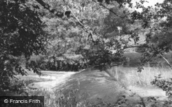 The Waterfall, Forge Valley East c.1960, East Ayton
