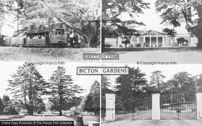 Photo of East Budleigh, Bicton Gardens Composite c.1955