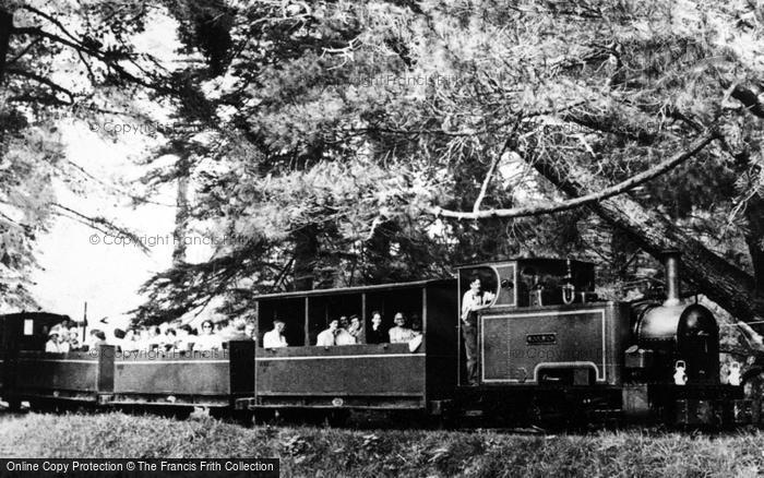 Photo of East Budleigh, Train On The Bicton Woodland Railway c.1955