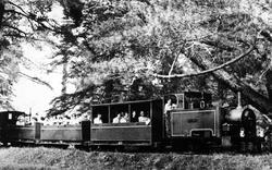 Train On The Bicton Woodland Railway c.1955, East Budleigh