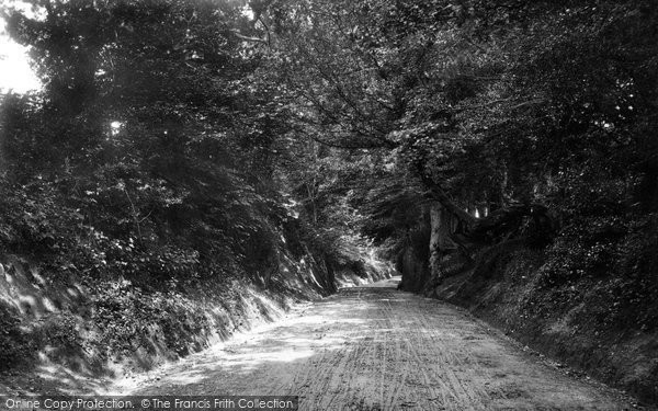Photo of East Grinstead, Blackwell Hollow 1890