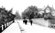 Lewes Road 1907, East Grinstead