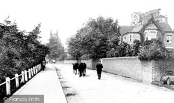 Lewes Road 1907, East Grinstead