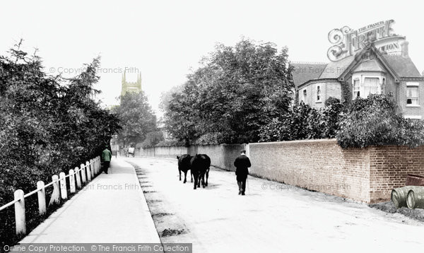 Photo of East Grinstead, Lewes Road 1907