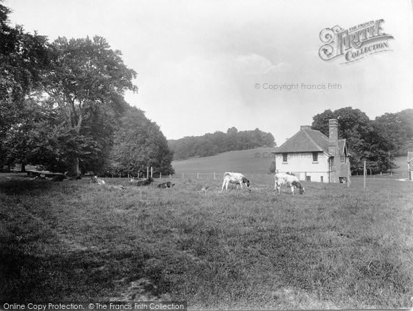 Photo of East Horsley, Horsley Towers Estate, The Beeches 1932