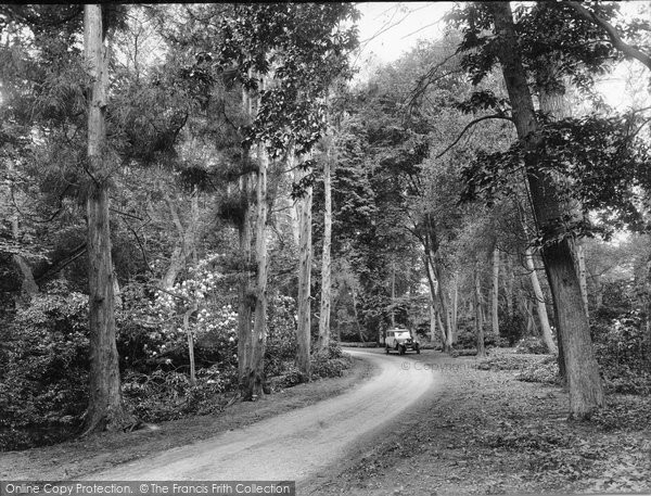 Photo of East Horsley, Pine Walk 1932