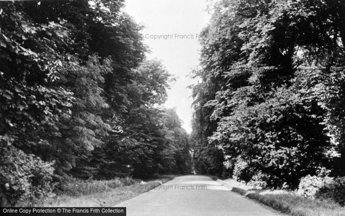 Photo of East Keswick, Harewood Avenue c.1955