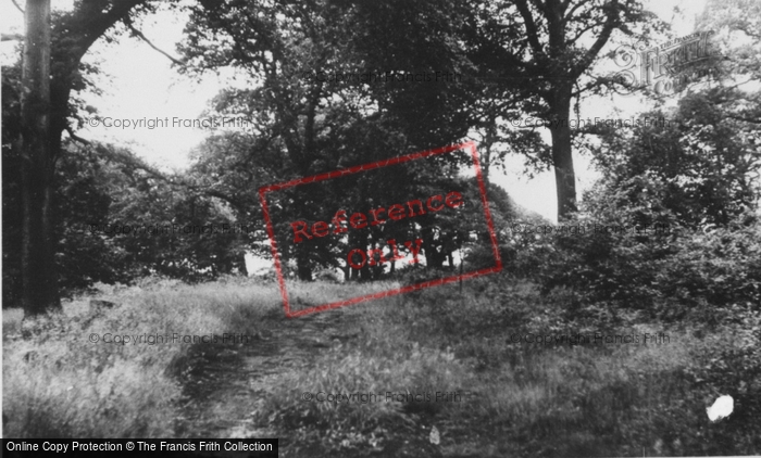 Photo of Eastham, The Woods c.1955