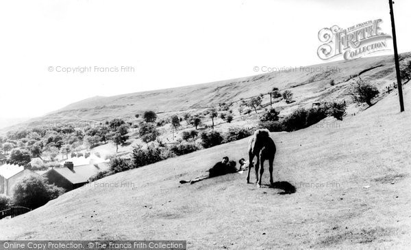 Photo of Ebbw Vale, On The Mountain c.1960