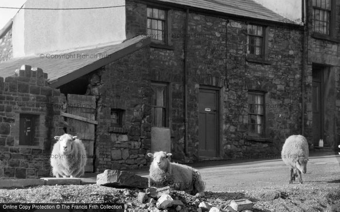 Photo of Ebbw Vale, Sheep In The Town 1962