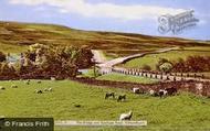 The Bridge And Stanhope Road c.1960, Edmundbyers
