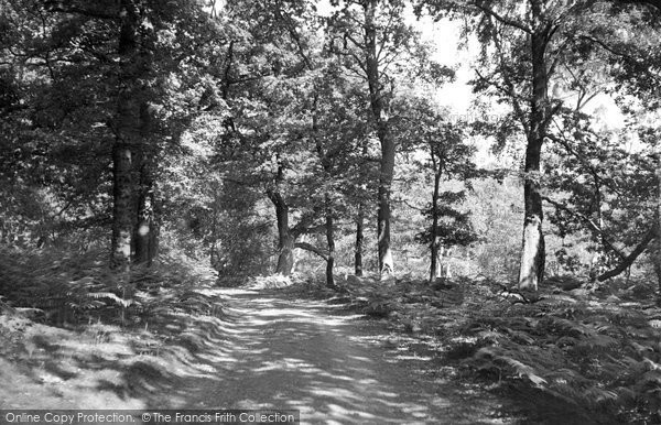 Photo of Edwinstowe, In Sherwood Forest c.1955