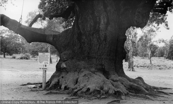 Photo of Edwinstowe, Major Oak, Sherwood Forest c.1960