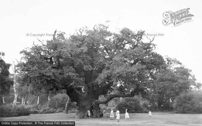 Photo of Edwinstowe, Major Oak, Sherwood Forest c.1960