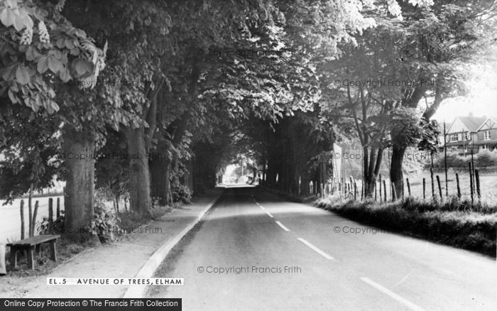 Photo of Elham, Avenue Of Trees c.1960