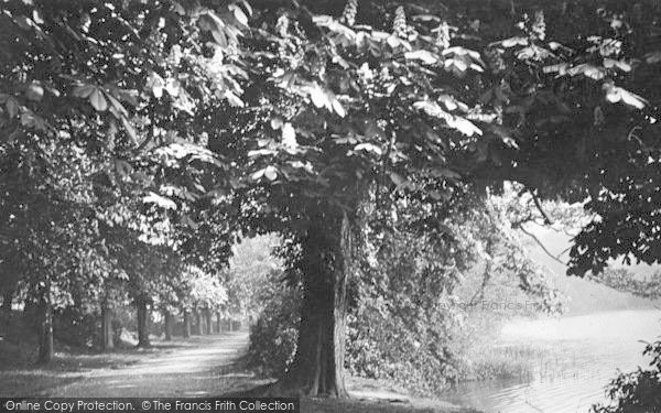 Photo of Ellesmere, Spring, Cremorne c.1935