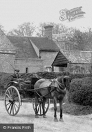 A Horse Carriage 1906, Ellington