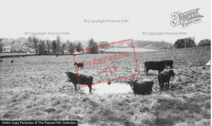 Photo of Elloughton, General View c.1960