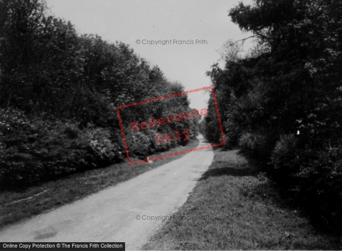 Photo of Elloughton, The Dale c.1955