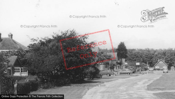 Photo of Elmer, Alleyne Way c.1965