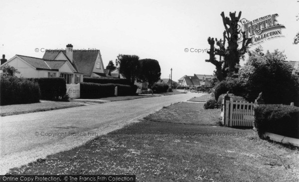 Photo of Elmer, Elm Drive c.1955
