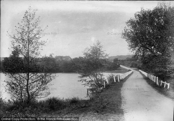 Photo of Elstead, Cut Mill 1906