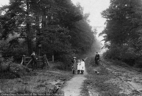 Photo of Elstead, Pot Common Lane 1911