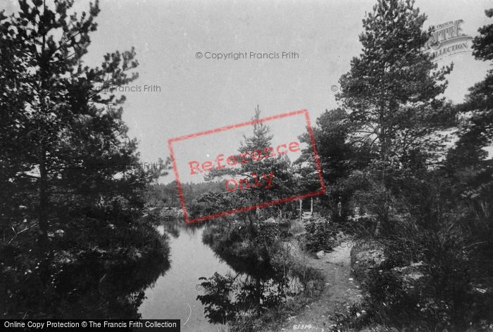 Photo of Elstead, The Chalet Lake 1909