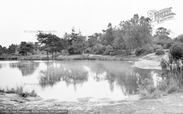 Photo of Elstead, The Moat c.1955