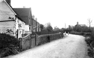 Thursley Road 1909, Elstead