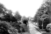 Broad Walk 1904, Elvetham Hall