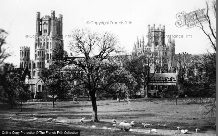 Photo of Ely, Cathedral c.1930
