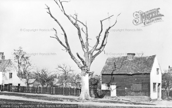 Photo of Enfield, Queen Elizabeth's Tree, Chase Green 1868