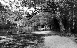 Enfield, Whitewebbs Park c1955