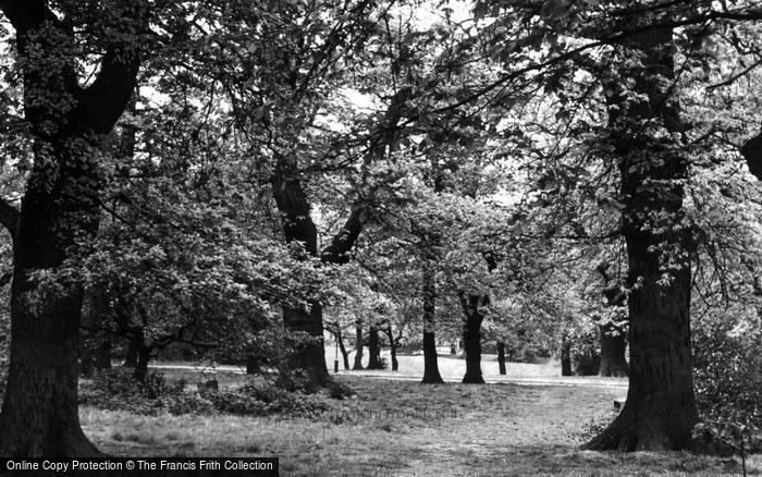 Photo of Epping, Forest c.1960