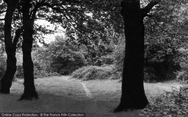 Photo of Epping, Forest c.1960