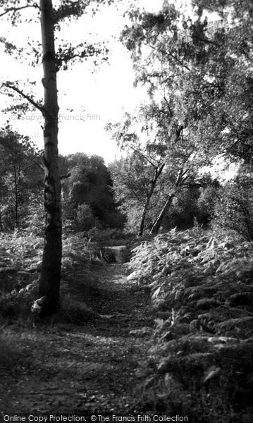 Photo of Epping, Forest c.1960