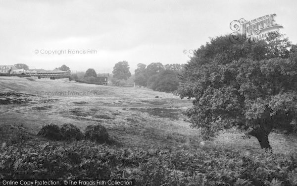 Photo of Epping, Forest, High Beech, Riggs Retreat 1911