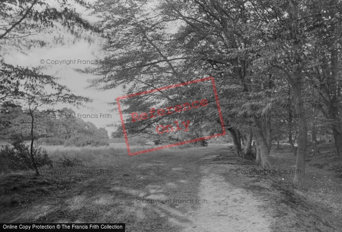 Photo of Epping, Forest, Near Ambresbury Banks 1911