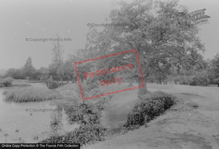 Photo of Epping, Forest, Near Royal Forest Hotel 1911