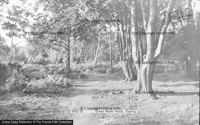 Photo of Epping, Great Monk Wood c.1955