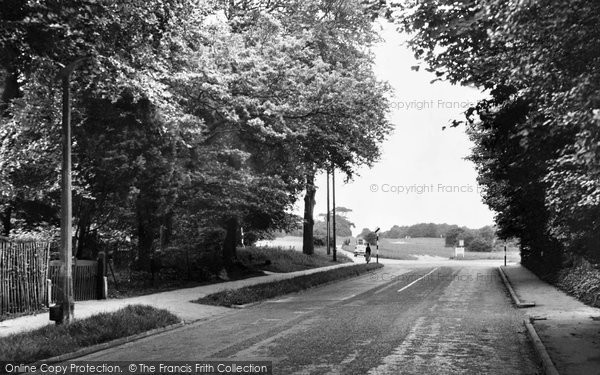 Photo of Epsom, Downs From Fir Tree Road c.1955